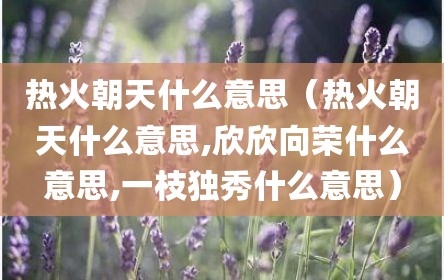 热火朝天什么意思（热火朝天什么意思,欣欣向荣什么意思,一枝独秀什么意思）