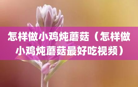 怎样做小鸡炖蘑菇（怎样做小鸡炖蘑菇最好吃视频）