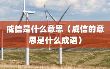 威信是什么意思（威信的意思是什么成语）