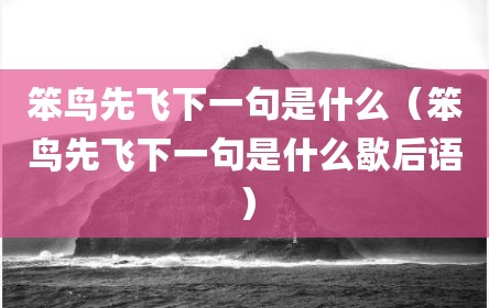 笨鸟先飞下一句是什么（笨鸟先飞下一句是什么歇后语）