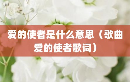 爱的使者是什么意思（歌曲爱的使者歌词）