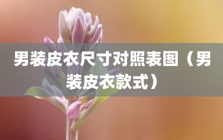 男装皮衣尺寸对照表图（男装皮衣款式）