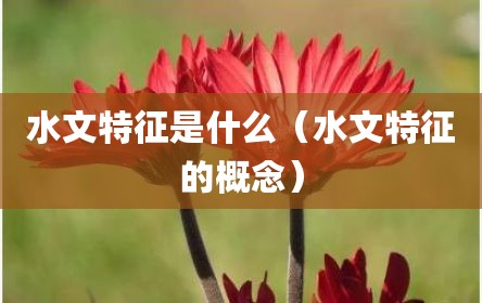 水文特征是什么（水文特征的概念）