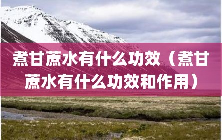 煮甘蔗水有什么功效（煮甘蔗水有什么功效和作用）