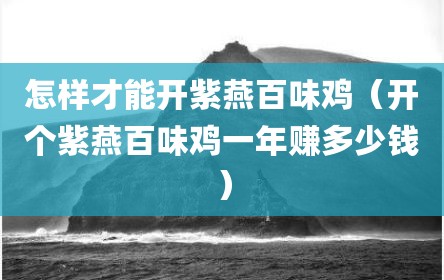 怎样才能开紫燕百味鸡（开个紫燕百味鸡一年赚多少钱）