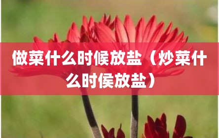 做菜什么时候放盐（炒菜什么时侯放盐）