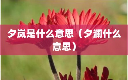 夕岚是什么意思（夕澜什么意思）