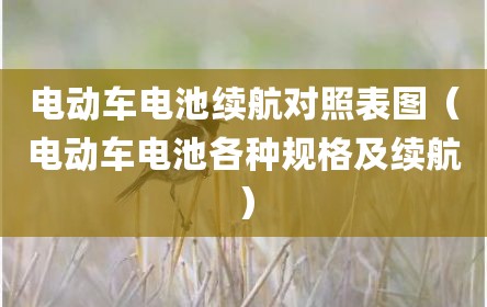 电动车电池续航对照表图（电动车电池各种规格及续航）