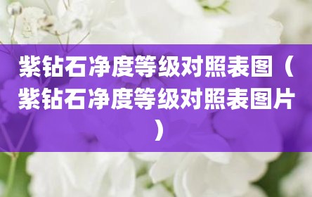 紫钻石净度等级对照表图（紫钻石净度等级对照表图片）