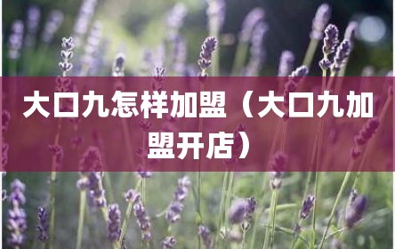 大口九怎样加盟（大口九加盟开店）