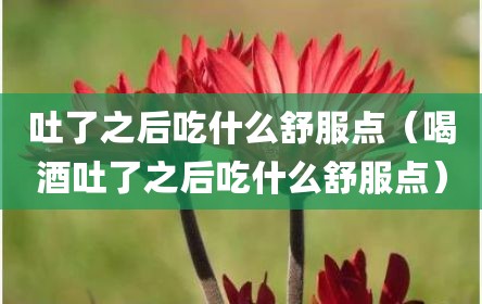 吐了之后吃什么舒服点（喝酒吐了之后吃什么舒服点）