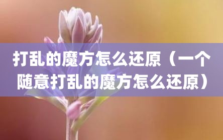 打乱的魔方怎么还原（一个随意打乱的魔方怎么还原）