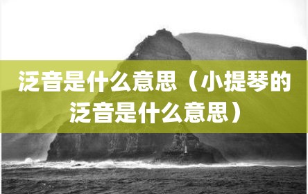 泛音是什么意思（小提琴的泛音是什么意思）