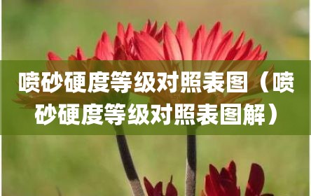 喷砂硬度等级对照表图（喷砂硬度等级对照表图解）