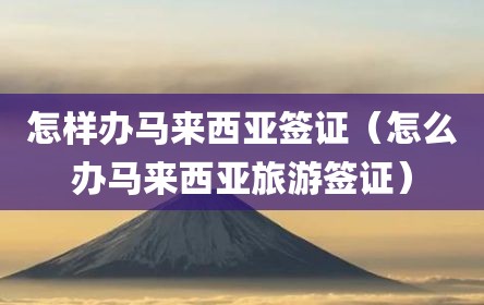 怎样办马来西亚签证（怎么办马来西亚旅游签证）