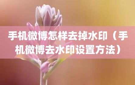手机微博怎样去掉水印（手机微博去水印设置方法）