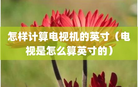 怎样计算电视机的英寸（电视是怎么算英寸的）
