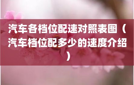 汽车各档位配速对照表图（汽车档位配多少的速度介绍）