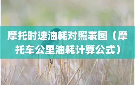 摩托时速油耗对照表图（摩托车公里油耗计算公式）
