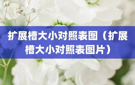扩展槽大小对照表图（扩展槽大小对照表图片）