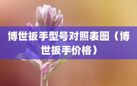 博世扳手型号对照表图（博世扳手价格）