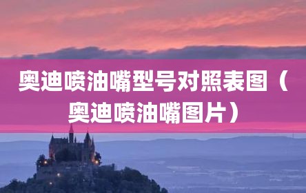 奥迪喷油嘴型号对照表图（奥迪喷油嘴图片）
