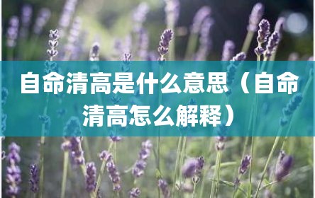 自命清高是什么意思（自命清高怎么解释）