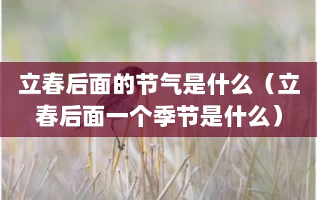立春后面的节气是什么（立春后面一个季节是什么）