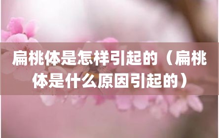 扁桃体是怎样引起的（扁桃体是什么原因引起的）