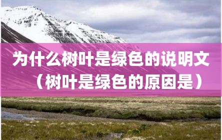 为什么树叶是绿色的说明文（树叶是绿色的原因是）