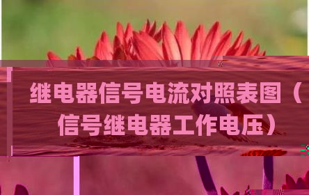 继电器信号电流对照表图（信号继电器工作电压）