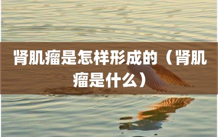 肾肌瘤是怎样形成的（肾肌瘤是什么）