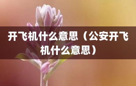 开飞机什么意思（公安开飞机什么意思）