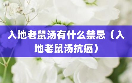 入地老鼠汤有什么禁忌（入地老鼠汤抗癌）