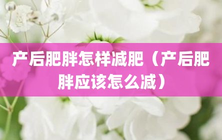 产后肥胖怎样减肥（产后肥胖应该怎么减）
