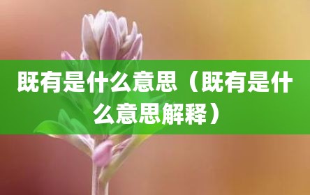 既有是什么意思（既有是什么意思解释）
