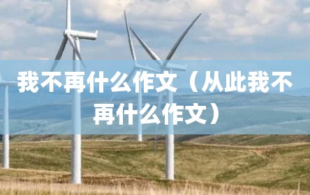 我不再什么作文（从此我不再什么作文）
