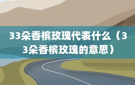 33朵香槟玫瑰代表什么（33朵香槟玫瑰的意思）