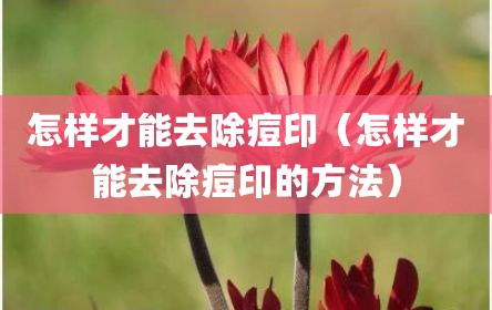 怎样才能去除痘印（怎样才能去除痘印的方法）