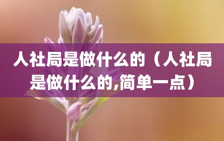 人社局是做什么的（人社局是做什么的,简单一点）