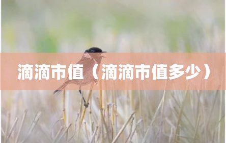 滴滴市值（滴滴市值多少）