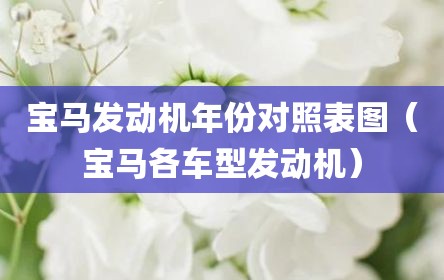 宝马发动机年份对照表图（宝马各车型发动机）