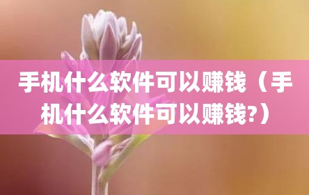 手机什么软件可以赚钱（手机什么软件可以赚钱?）
