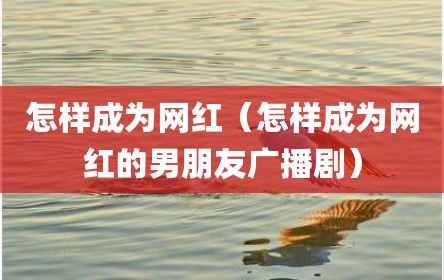 怎样成为网红（怎样成为网红的男朋友广播剧）