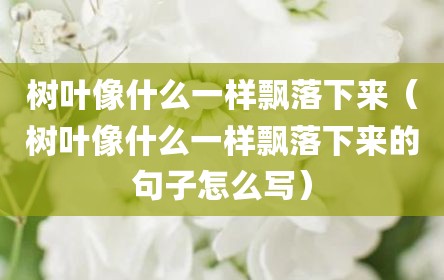 树叶像什么一样飘落下来（树叶像什么一样飘落下来的句子怎么写）