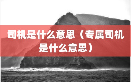 司机是什么意思（专属司机是什么意思）