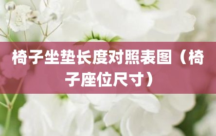 椅子坐垫长度对照表图（椅子座位尺寸）