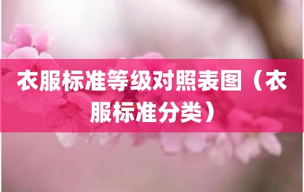 衣服标准等级对照表图（衣服标准分类）