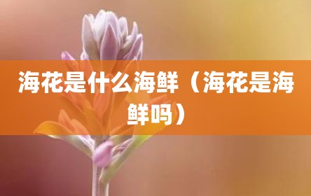 海花是什么海鲜（海花是海鲜吗）