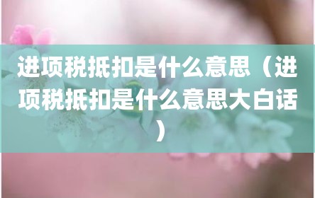 进项税抵扣是什么意思（进项税抵扣是什么意思大白话）